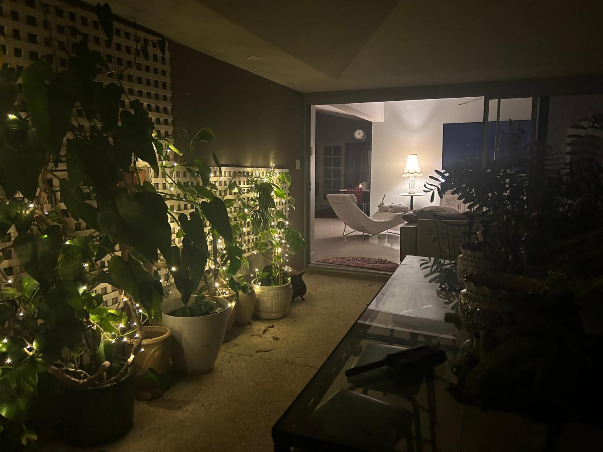 Koombana Escape Holiday home