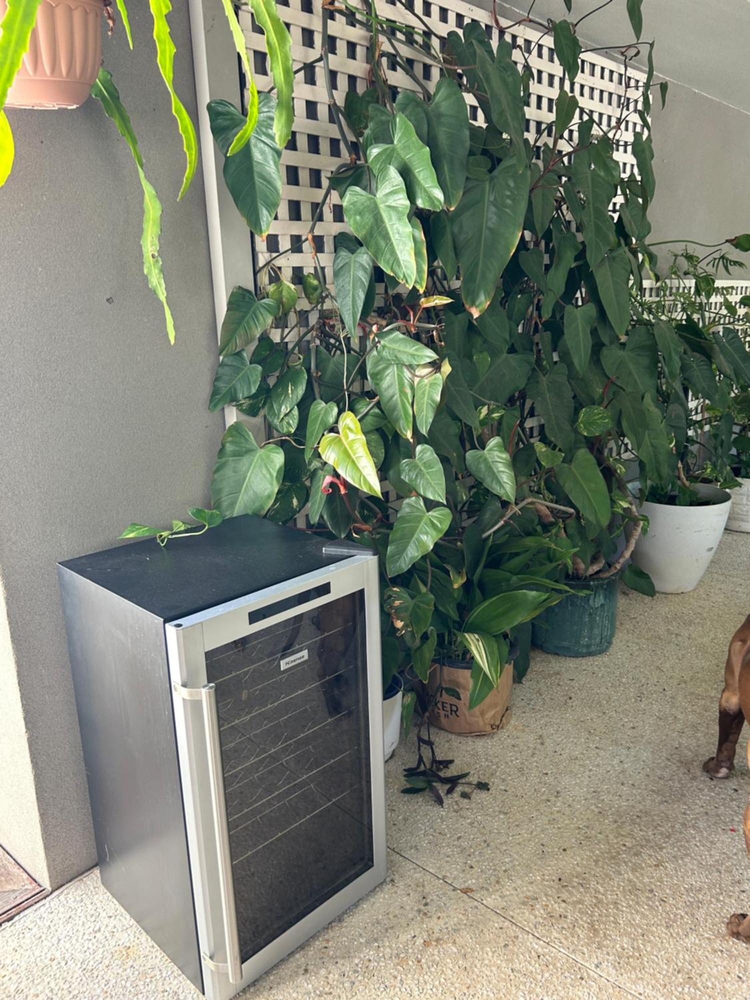 Koombana Escape Holiday home *