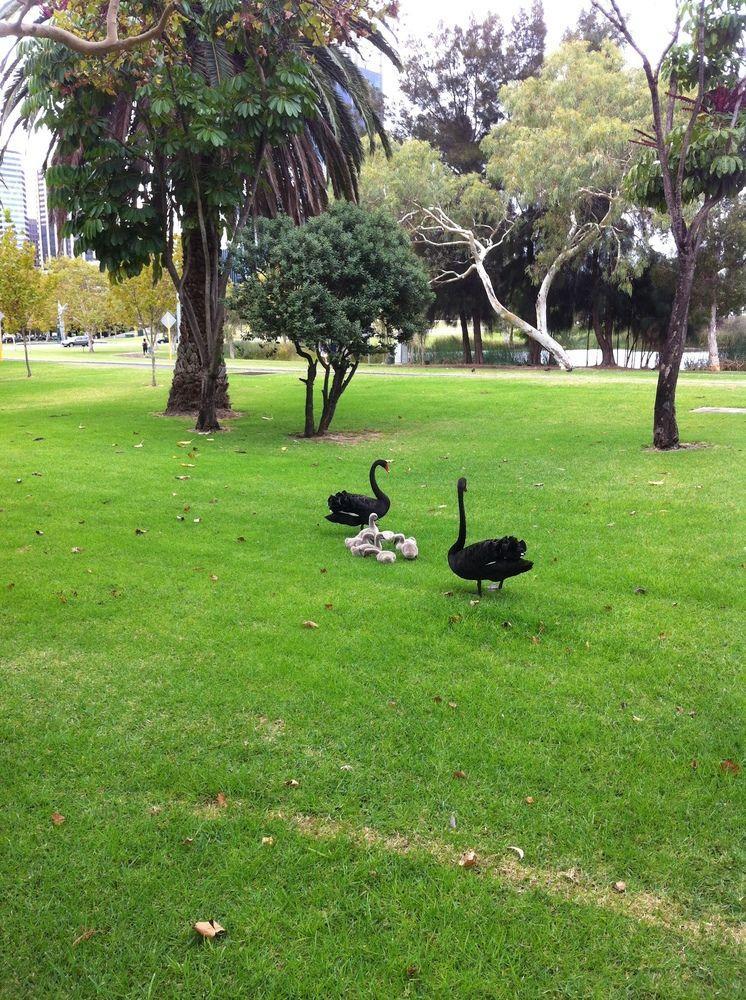 Sullivans 4* Perth