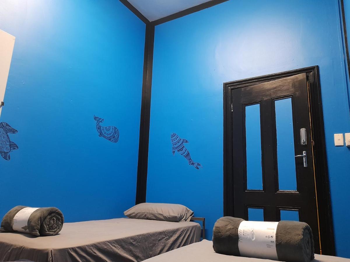 Hostel Ozi Backpackers - -