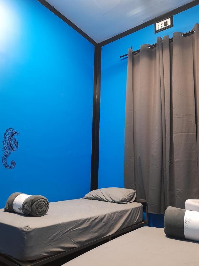 Ozi Backpackers - - Hostel *