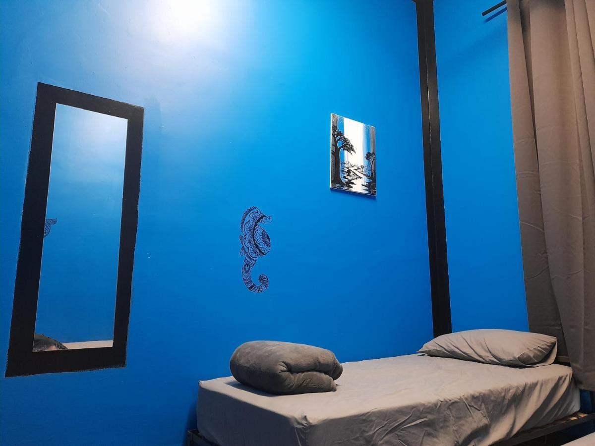 Ozi Backpackers - -