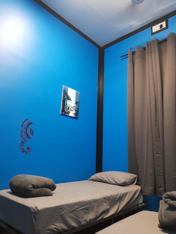 Ozi Backpackers - - *