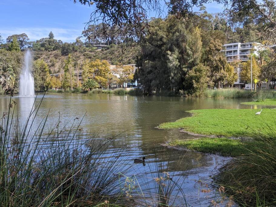 Apartemen & Lakeside With Free Parking, Pool And 10 Mins Walk Into The Perth