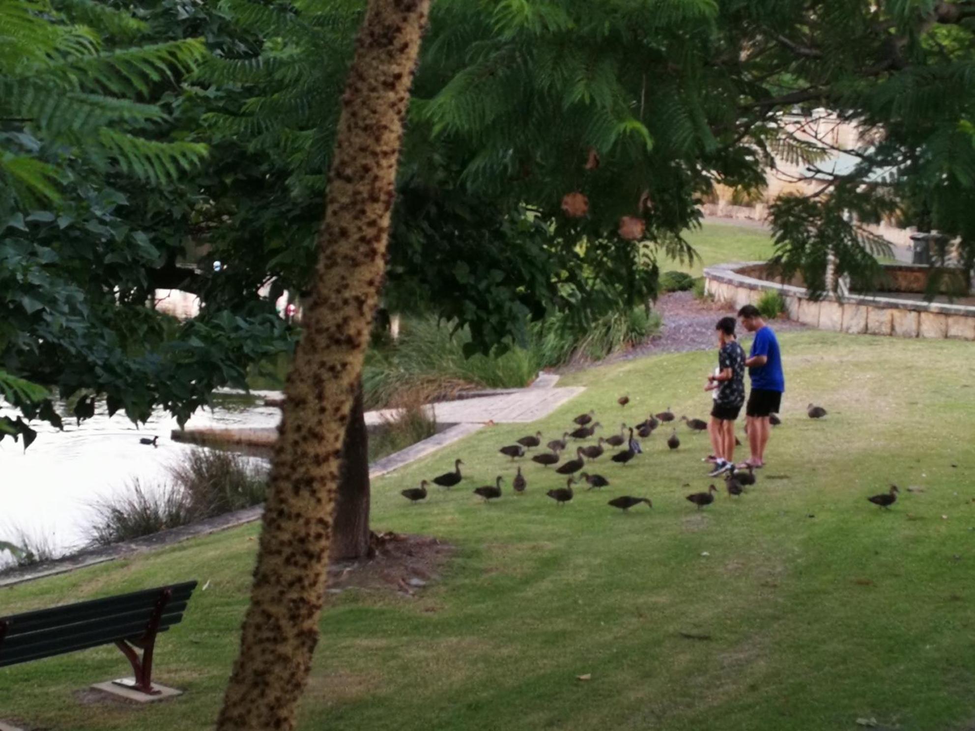 Vimal's Perth