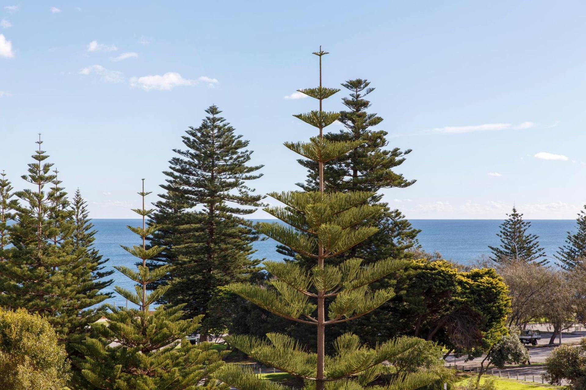 Cottesloe Seaside Bliss Apartemen *