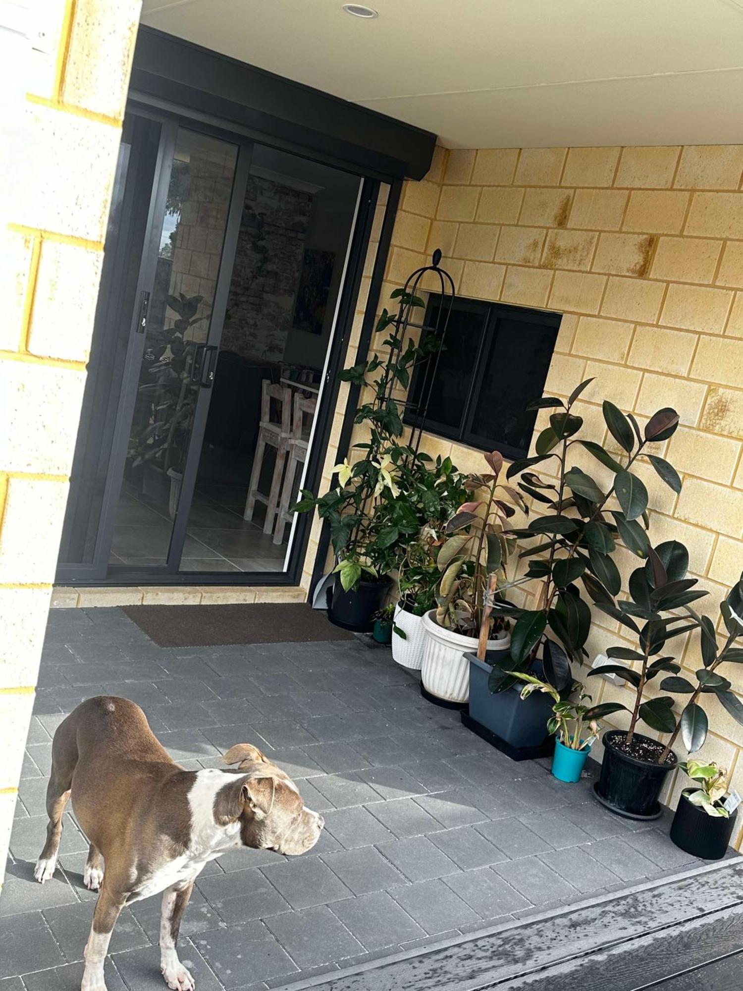 Luxe Cosy In Beechboro *