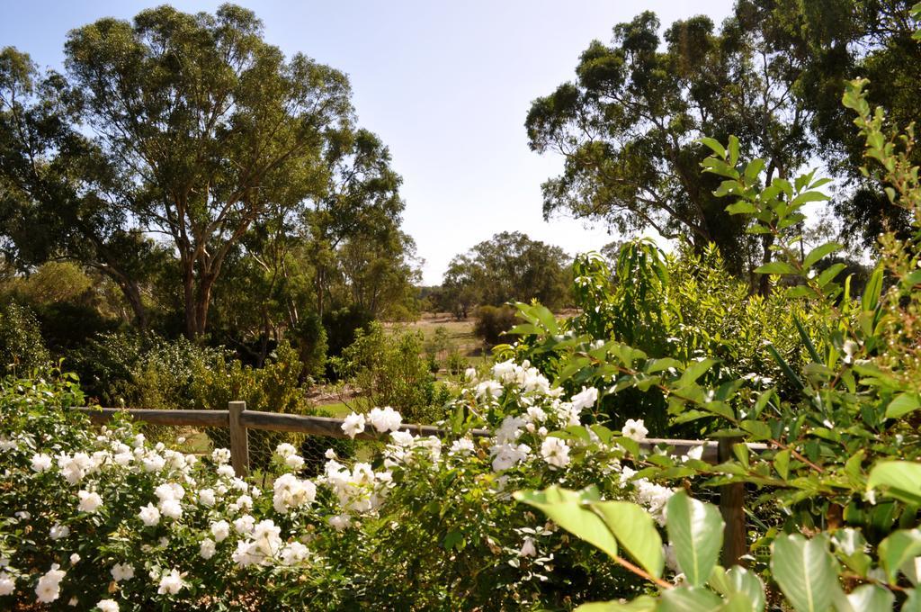 Guest house Guildford River Retreat
