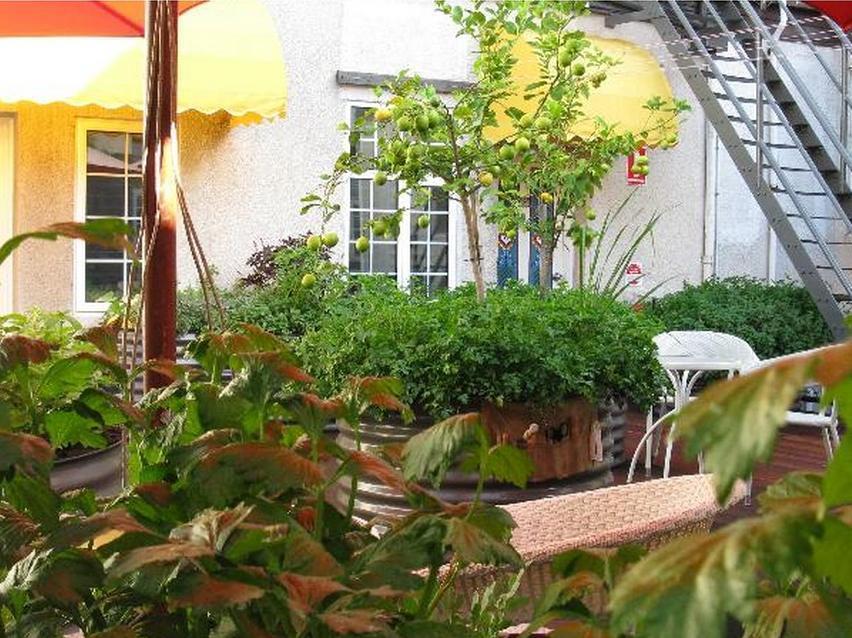 European Hotel 4*