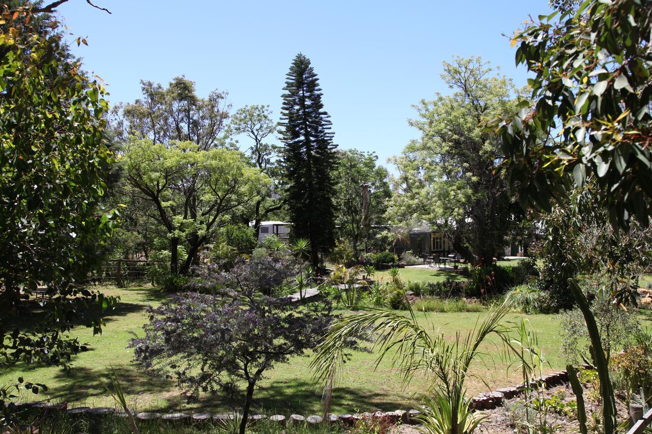 Bed & Breakfast Rothwood Homestays 4*