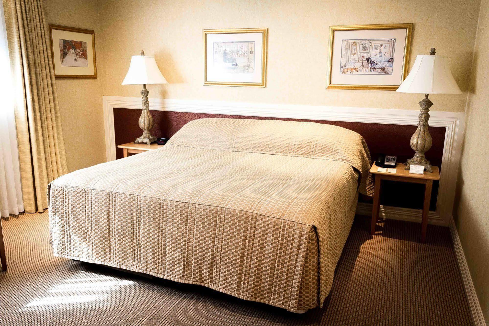Hotel European