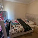Koollife Paradise