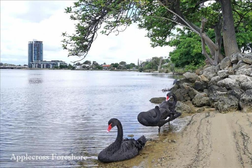 Apartment Swan River Applecross Heathcote Park 1br *