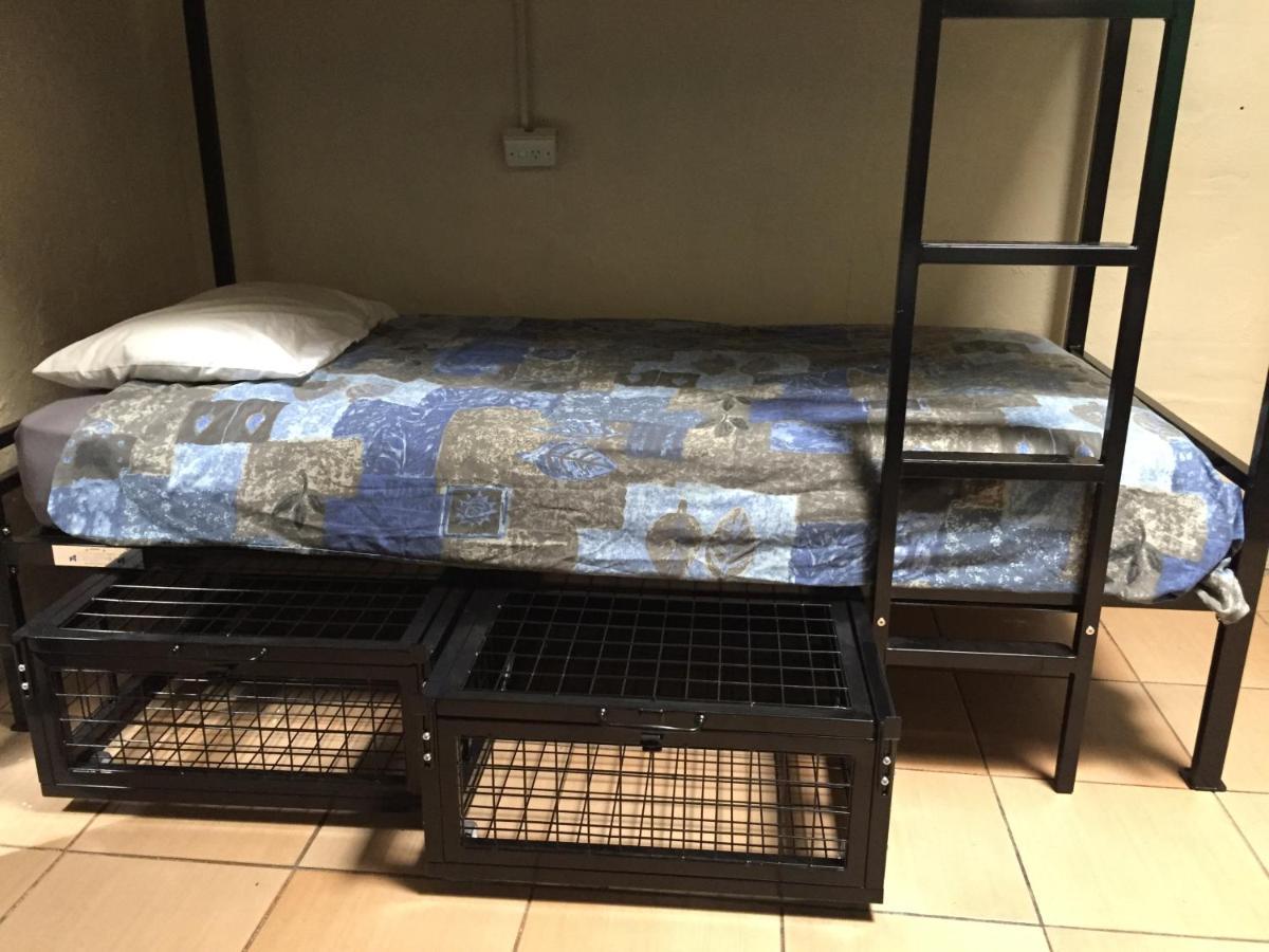 Jj's Backpackers Albergue *