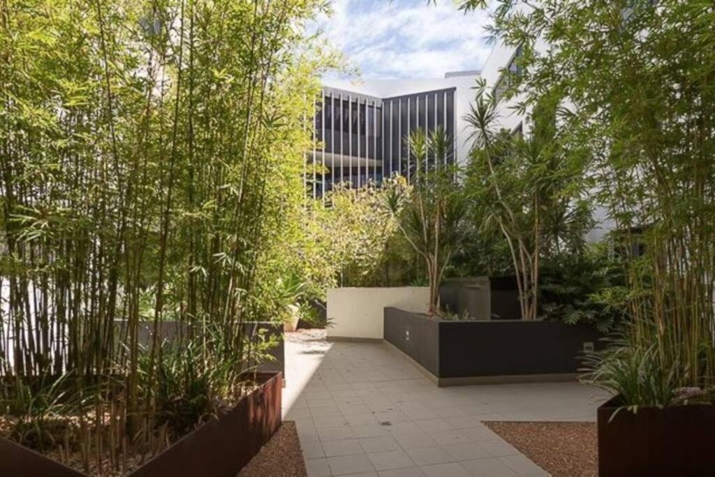 Apartment Deluxe Close To City Wifi Netflix Wine Parking