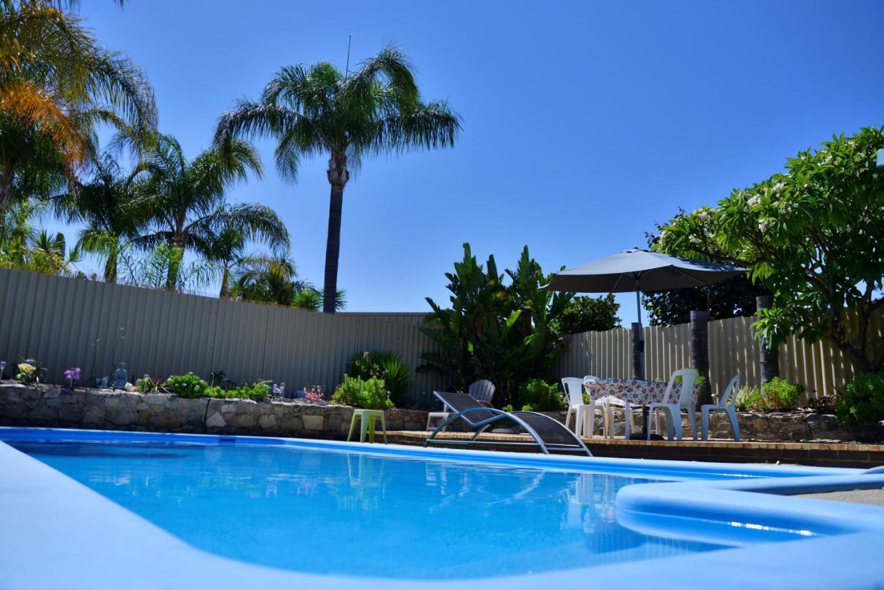 Palms