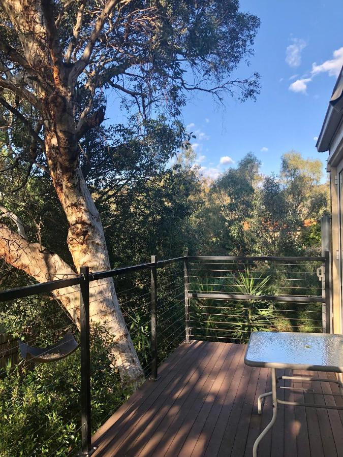 Apartment Treetops *