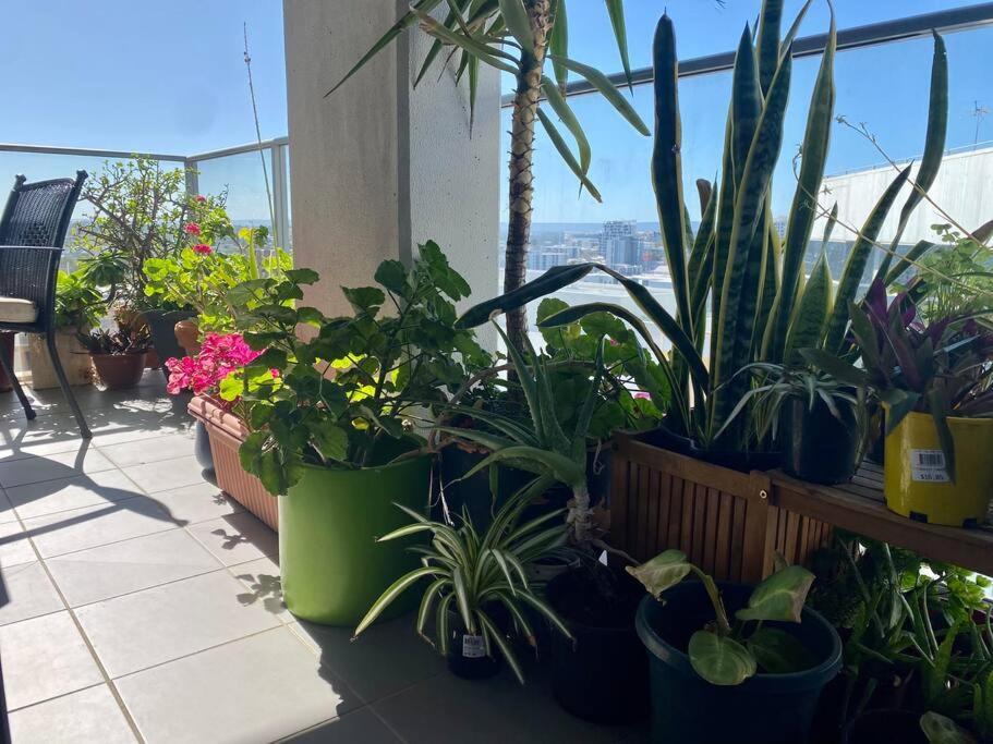 Apartment In The 1b1b Pool And View