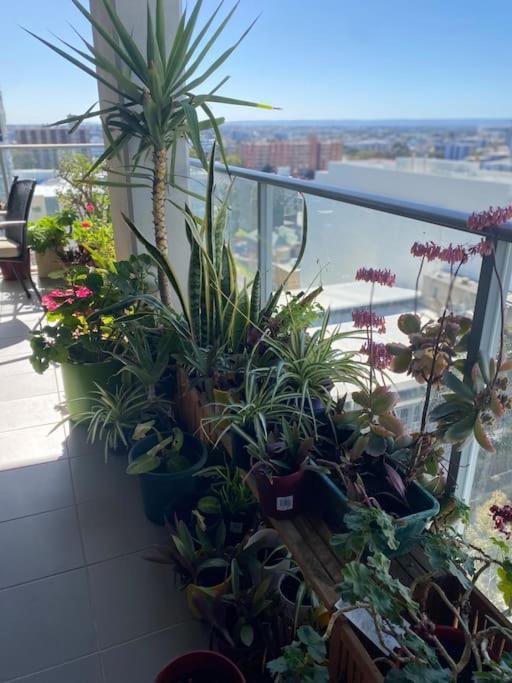 In The 1b1b Pool And View Apartment *