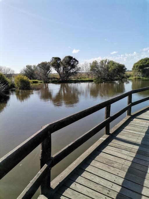 Simply Delightful Unit Close To Cbd And Apartment Perth