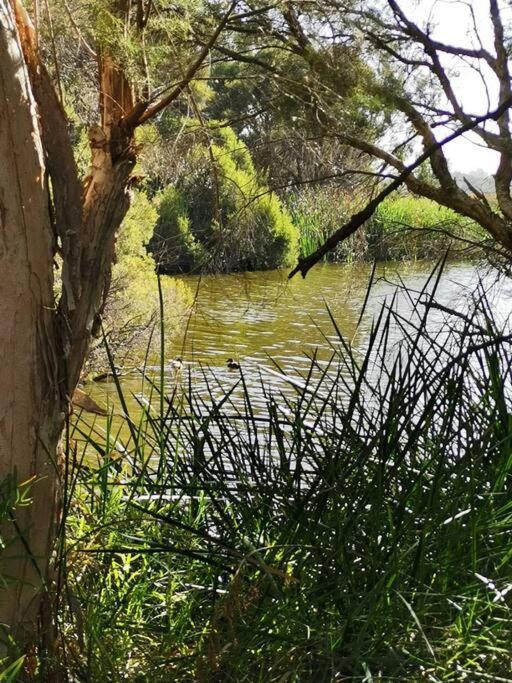 Simply Delightful Unit Close To Cbd And Perth