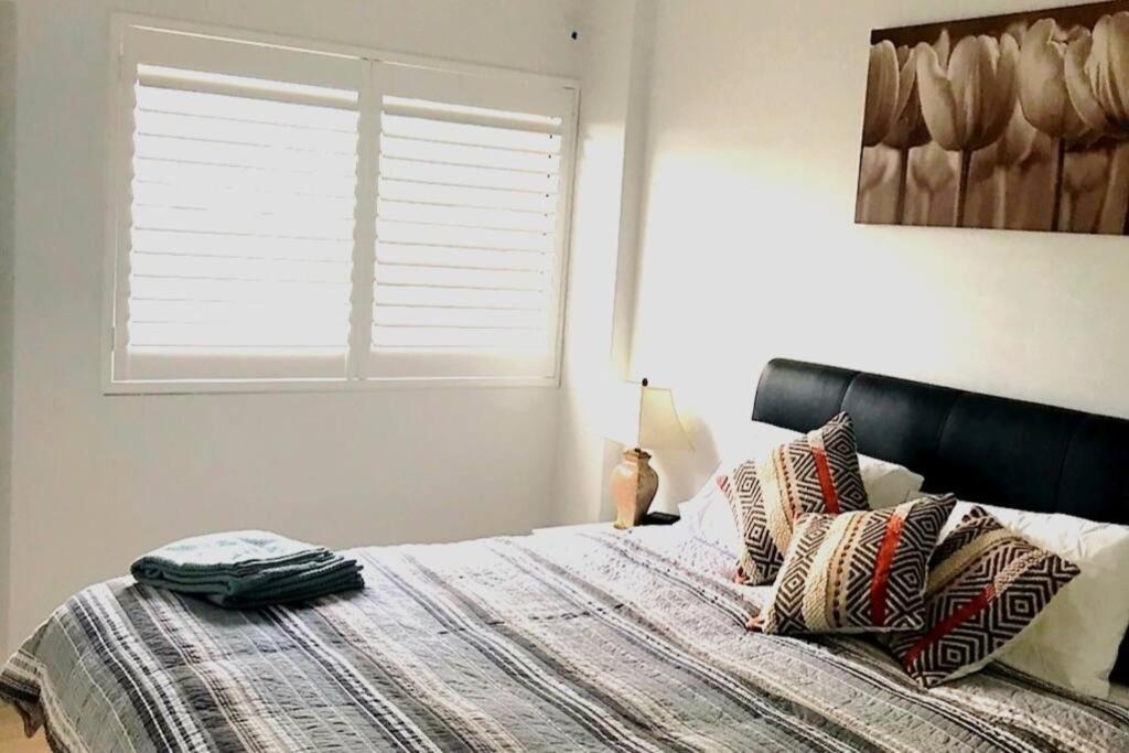 Luxury Spacious Near Kings Park Apartment