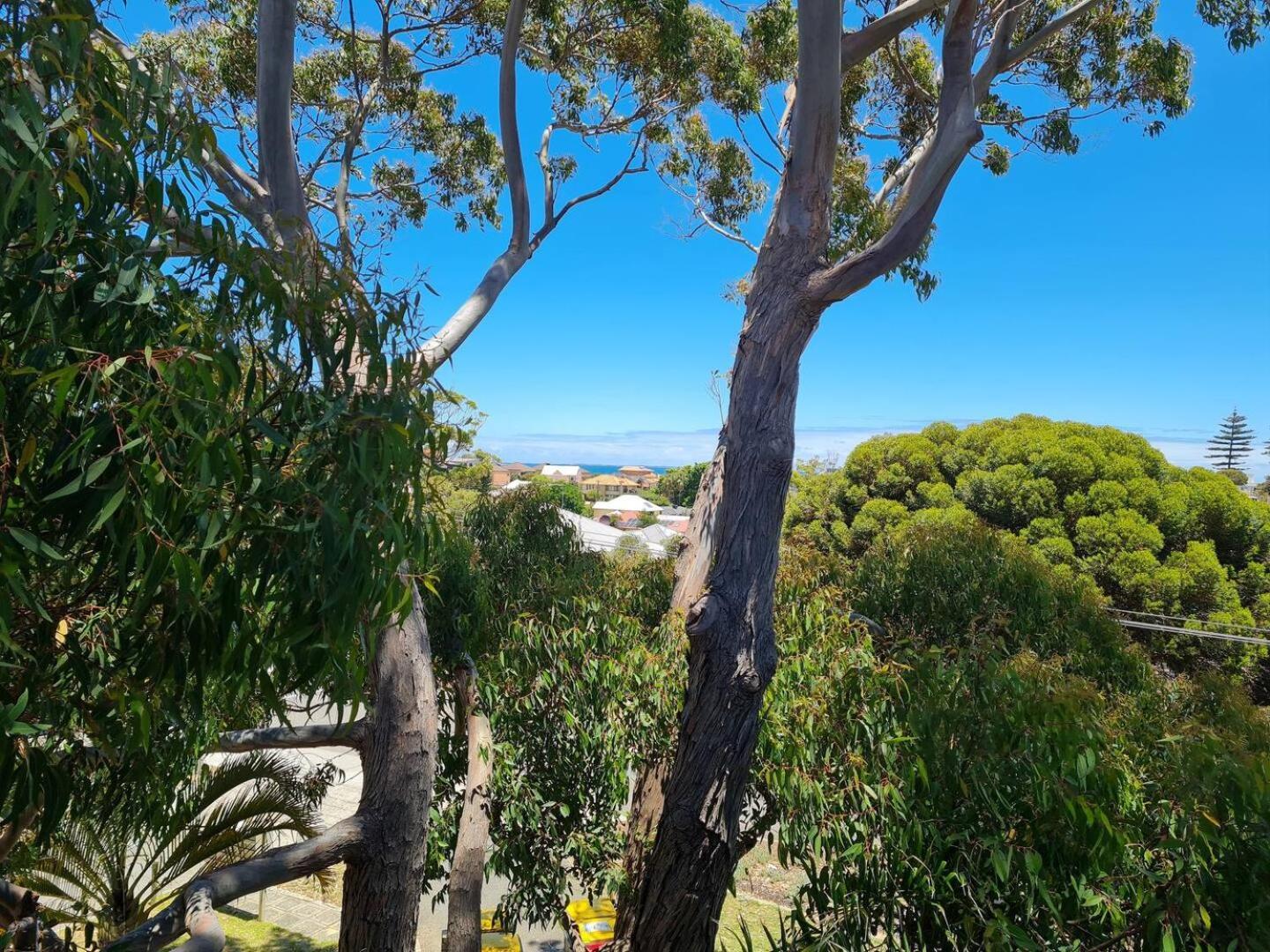 Summer Breeze - Holiday Or Business Apartment Apartamento