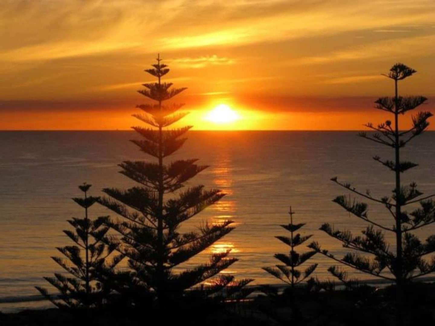 Acacia Holiday Or Business - Quiet Location Apartment *