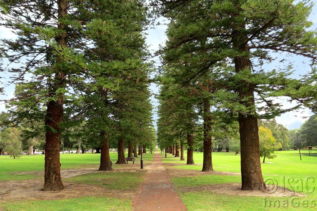 Darby Park Subiaco Aparthotel Perth