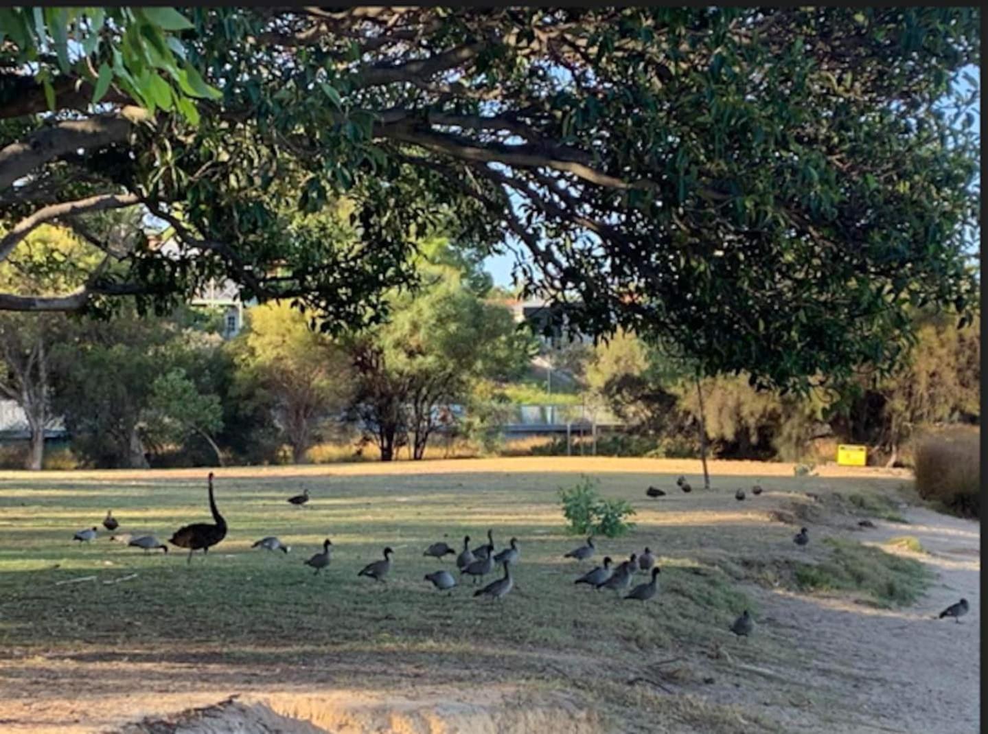 Your Tranquil Haven In East * Perth