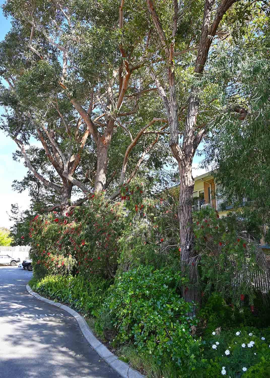 Cottesloe Getaway Perth