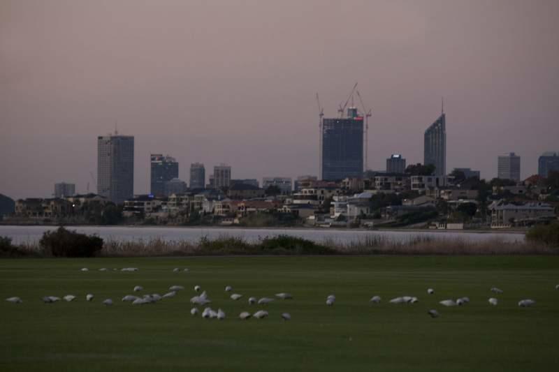 Apartamento Swanriver Applecross Shortstays Perth