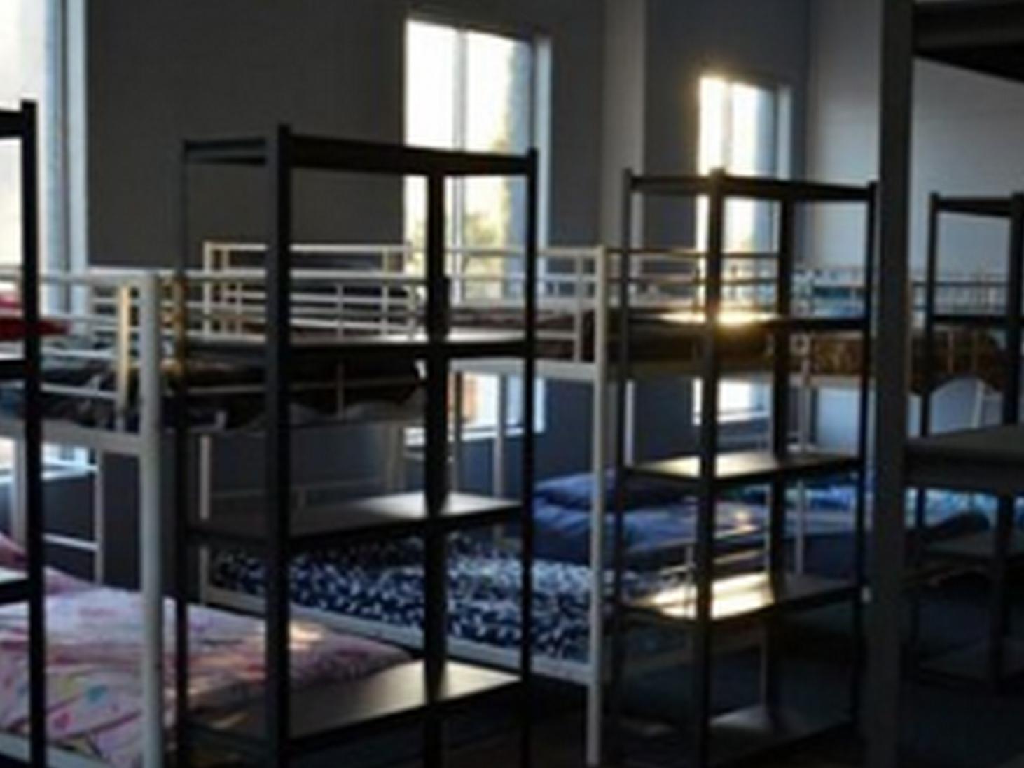 Hostel The Hive - Traveler Friendly, Passport Only *