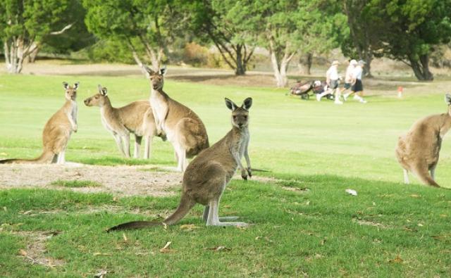 Joondalup Perth