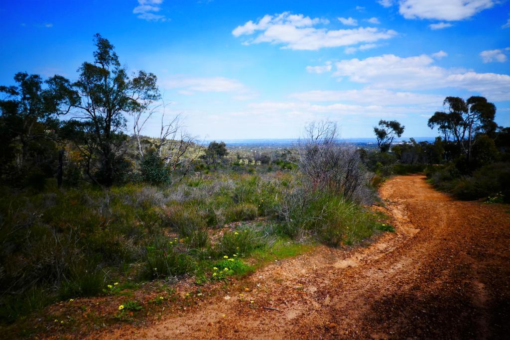 Treetops Perth