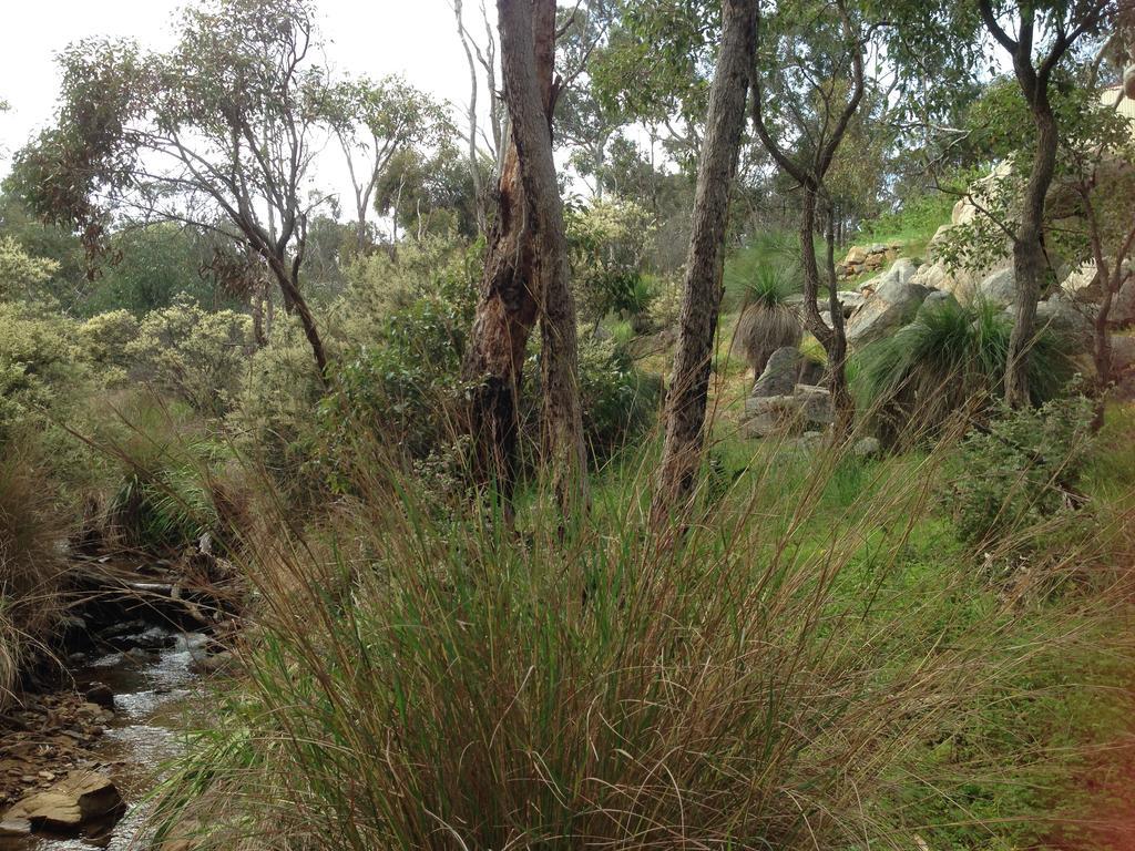 Treetops * Perth