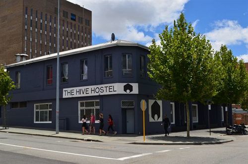 The Hive - Traveler Friendly, Passport Only Perth