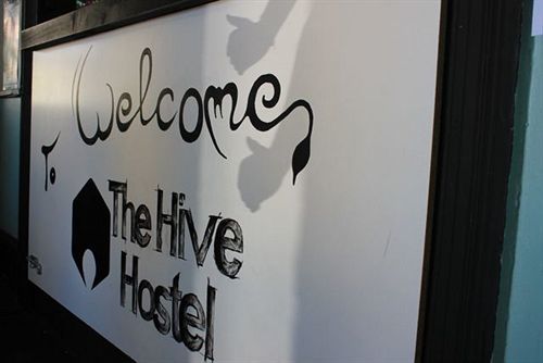 The Hive - Traveler Friendly, Passport Only Hostel