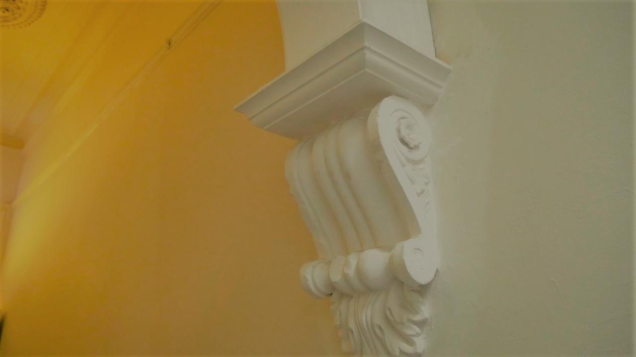 Hostel Myozexp Palmerston *