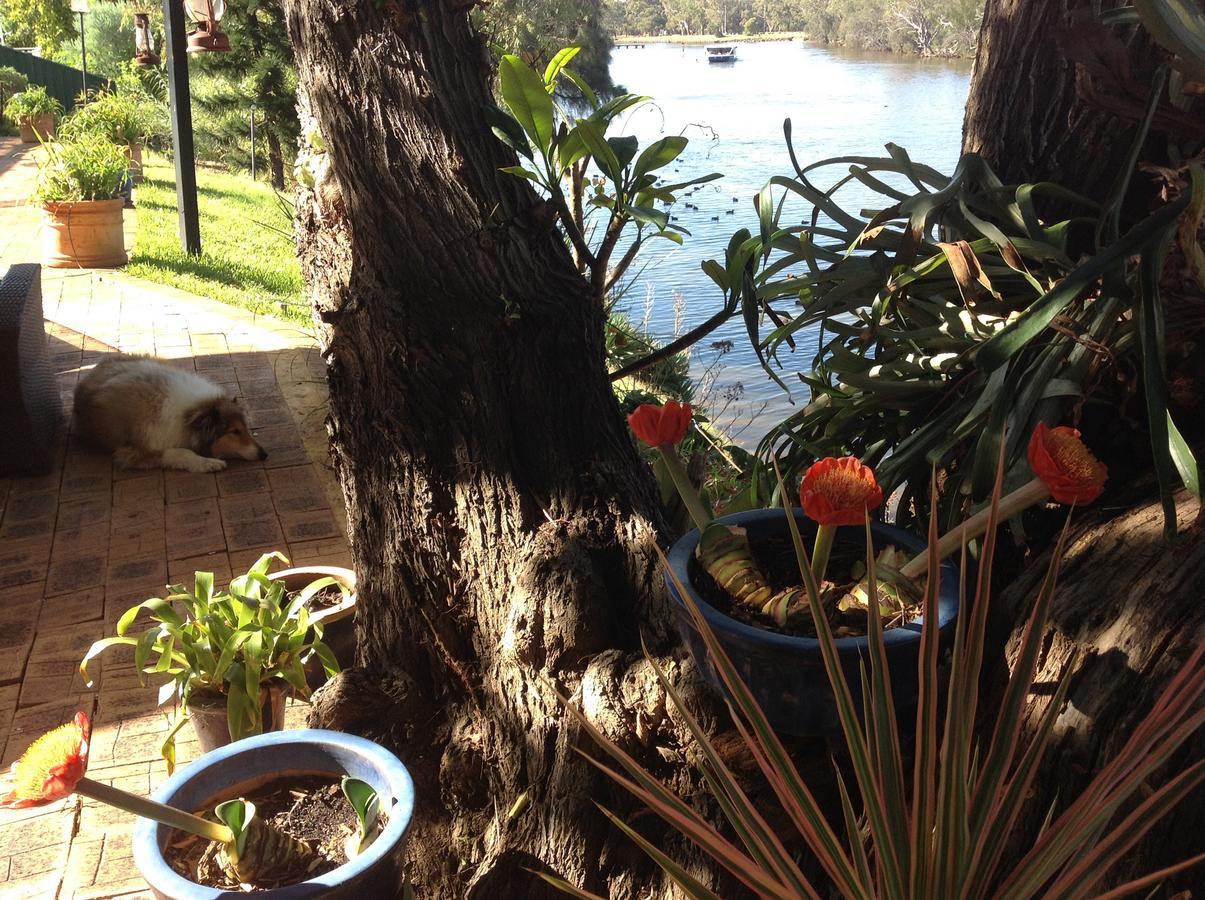 Bed & Breakfast Riverfront71 Perth
