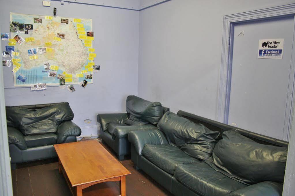 Hostel The Hive - Traveler Friendly, Passport Only *