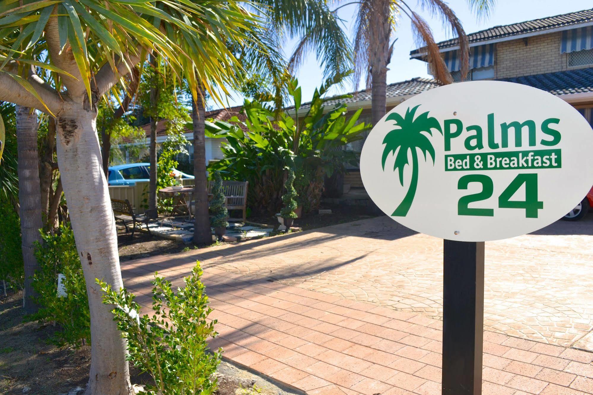 Palms 3*
