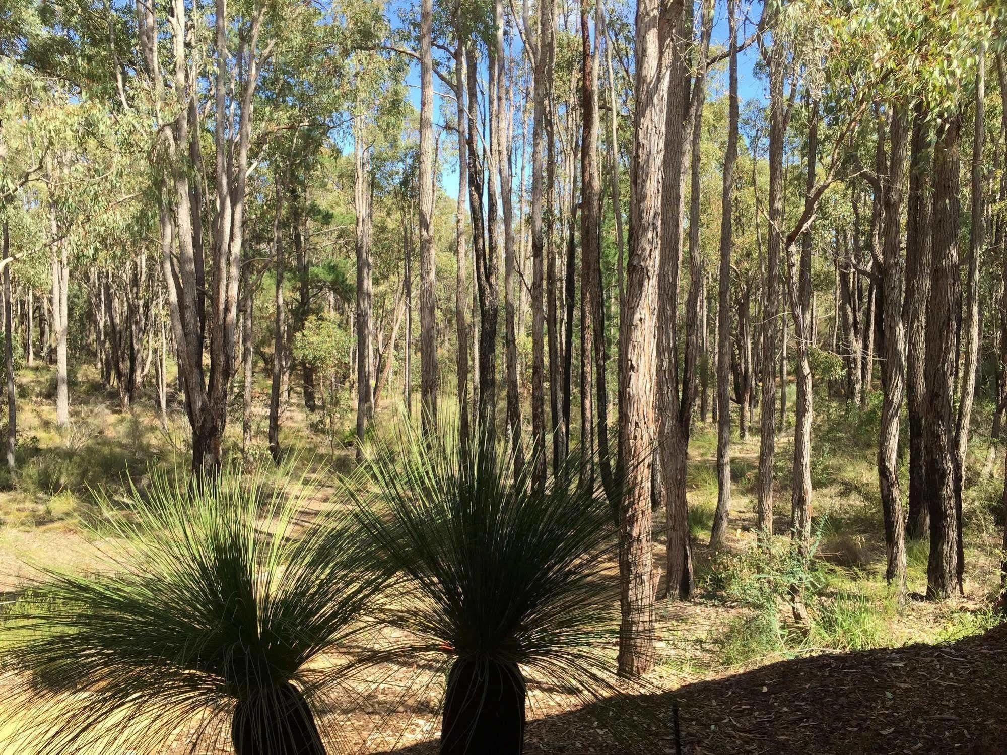Hidden Valley Eco Lodges And Day Hotel Perth