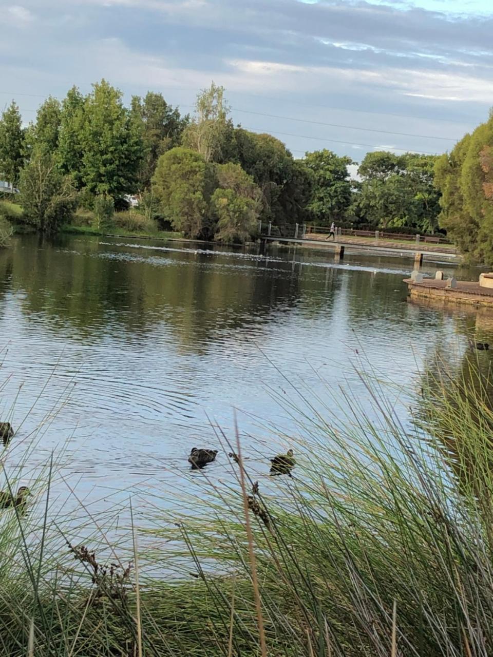 Lakeside On Boardwalk * Perth