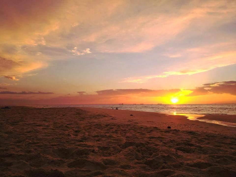 Ocean Beach Backpackers *