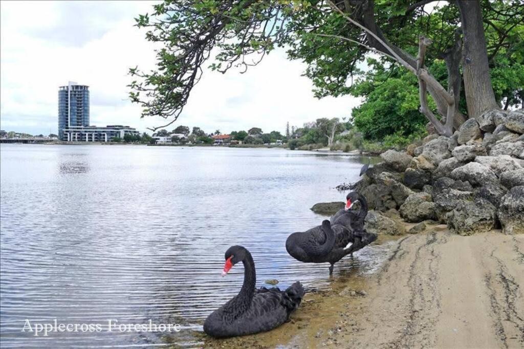 Swan River Apartment