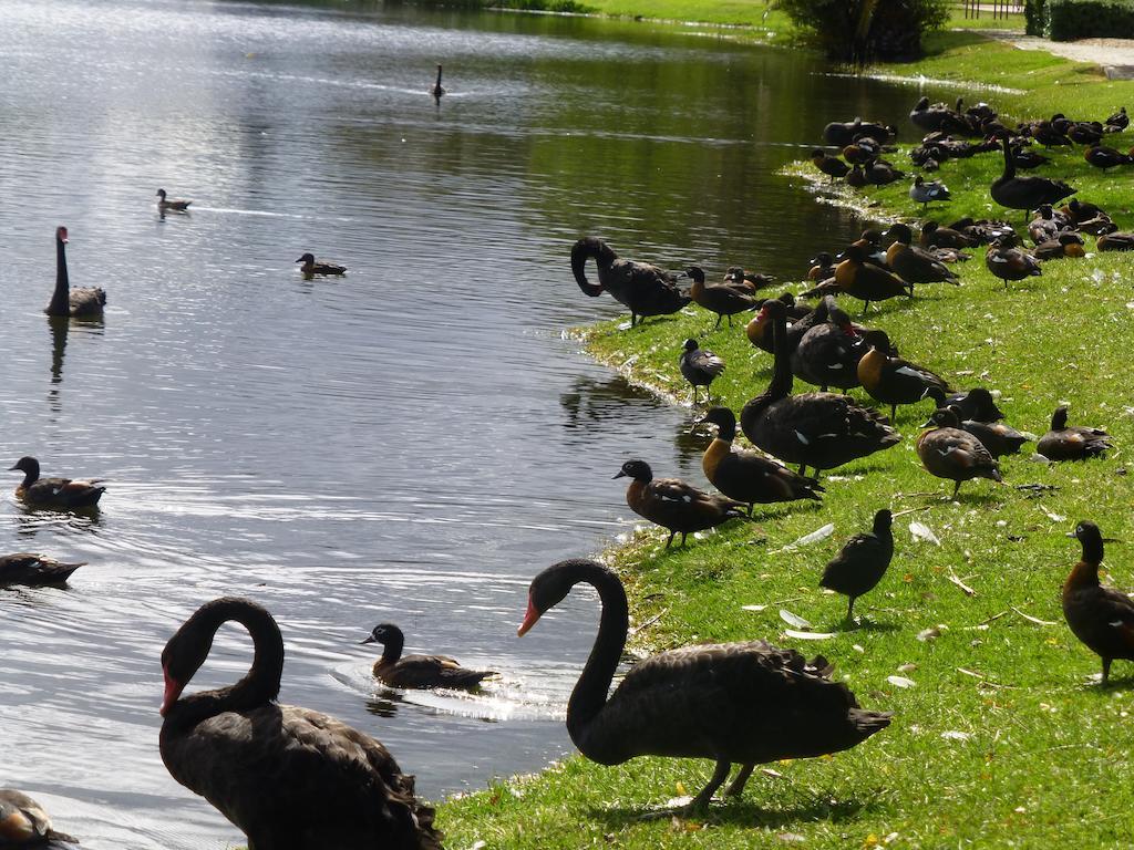 Lakeside Perth