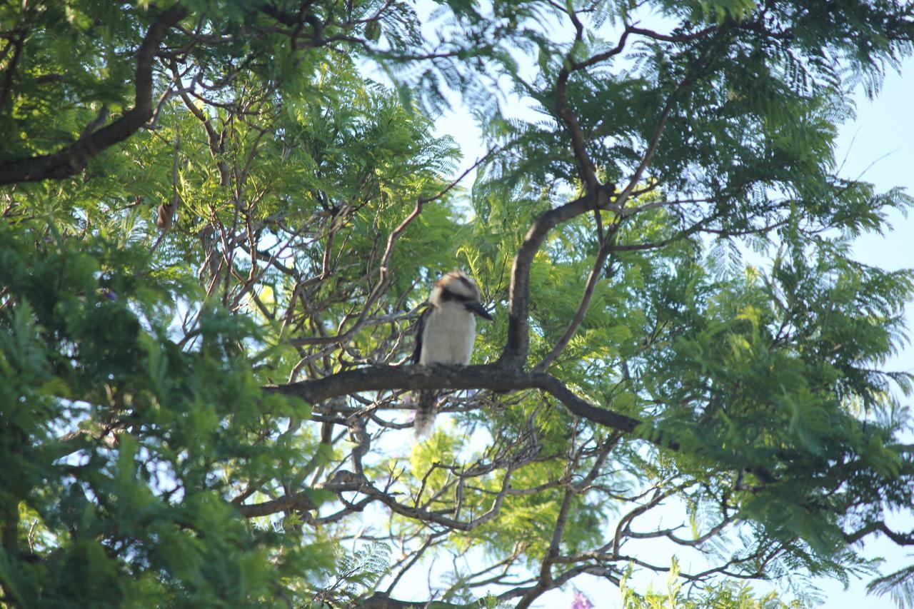 Jacaranda Hideaway Perth
