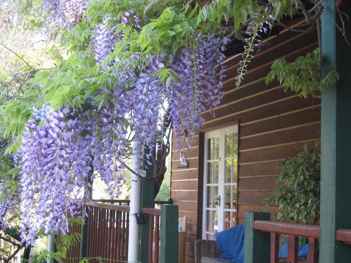 Rosemoore Bed & Breakfast 2*