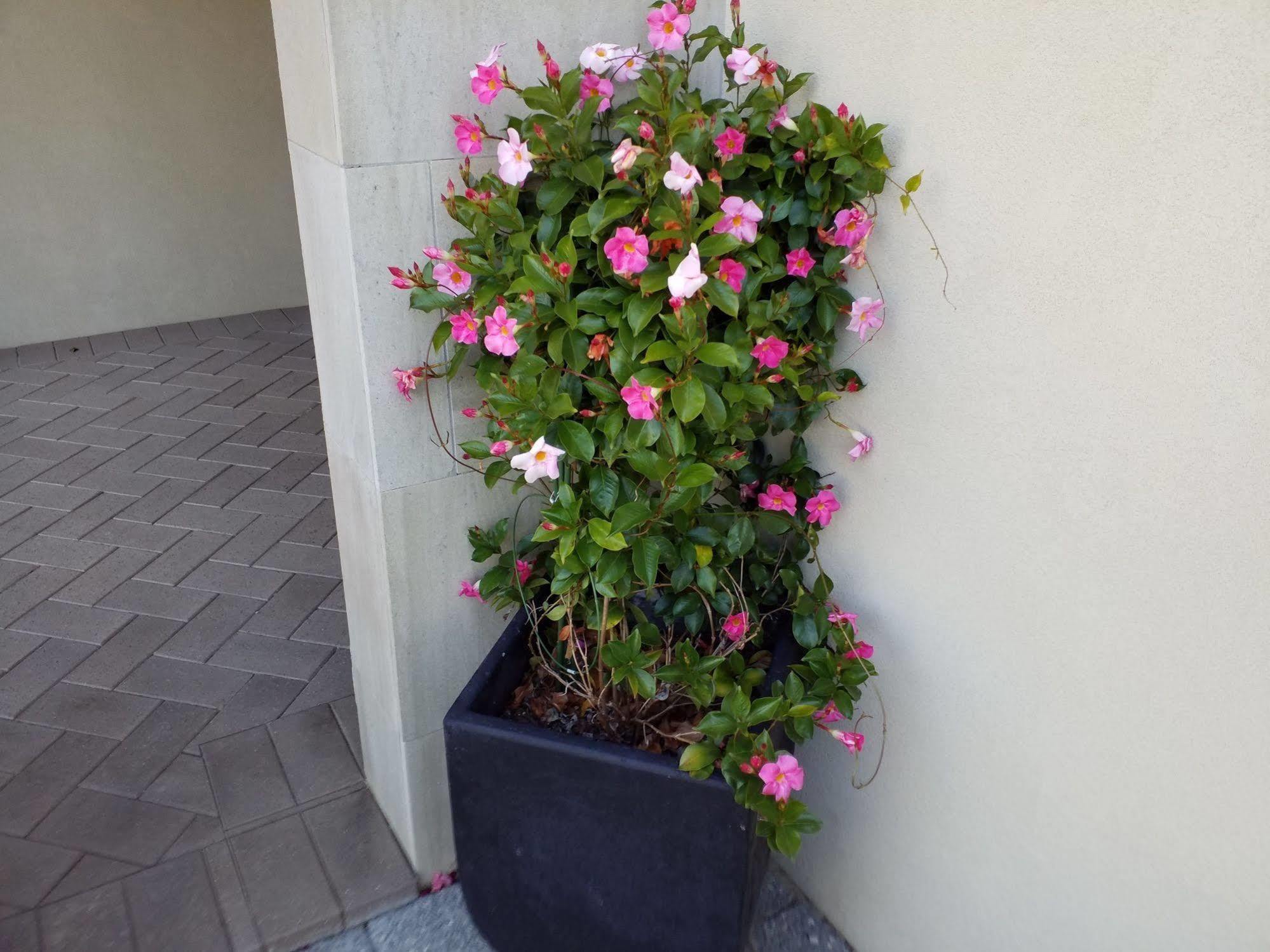 Bed & Breakfast Sorrento
